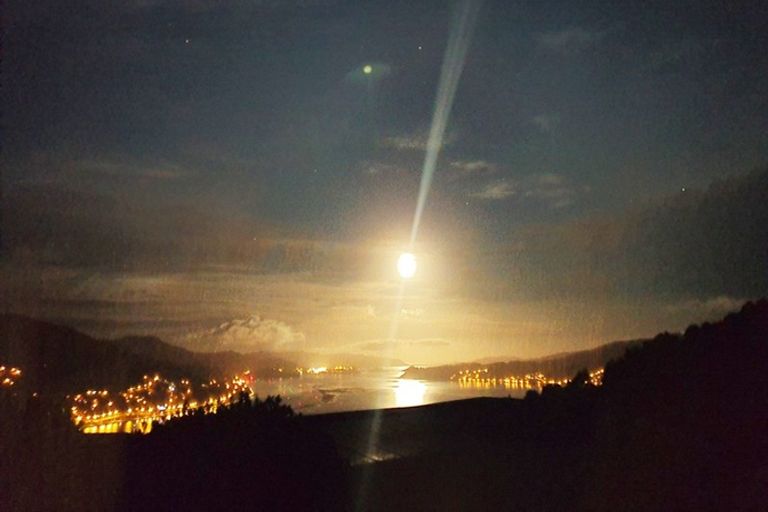 Photo of property in 327 Highcliff Road, Highcliff, Dunedin, 9013