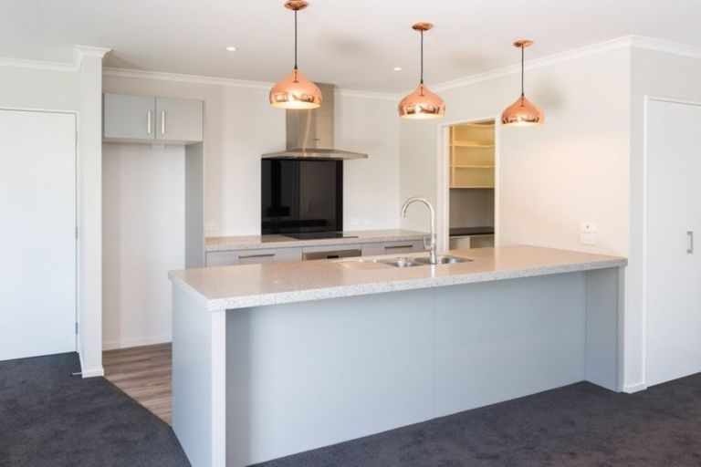 Photo of property in 3 Solomon Place, Witherlea, Blenheim, 7201