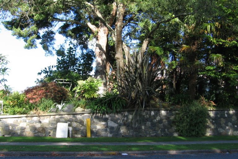 Photo of property in 18 Bent Street, Putaruru, 3411