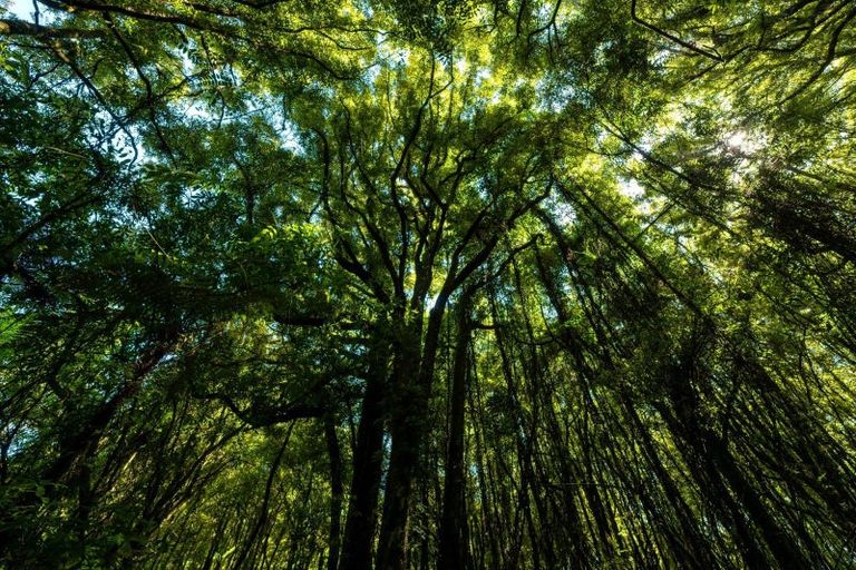 Photo of property in 805 Te Waerenga Road, Hamurana, Rotorua, 3096