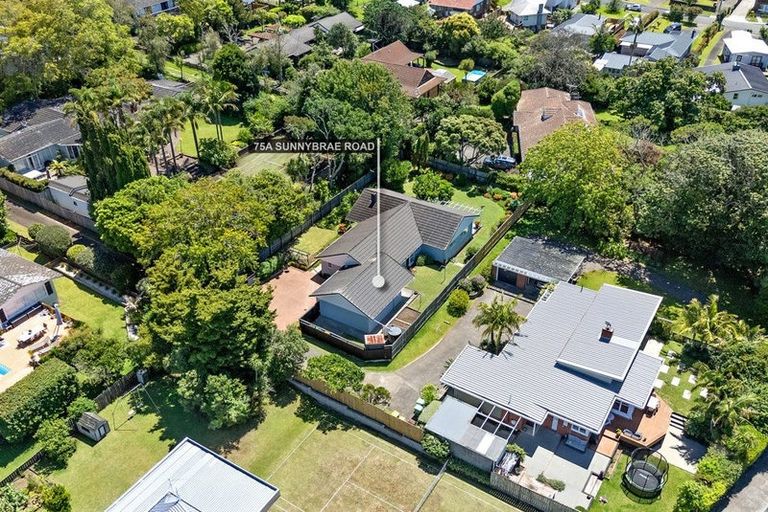 Photo of property in 75a Sunnybrae Road, Hillcrest, Auckland, 0627