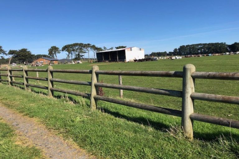 Photo of property in 1105d Santoft Road, Santoft, Bulls, 4894