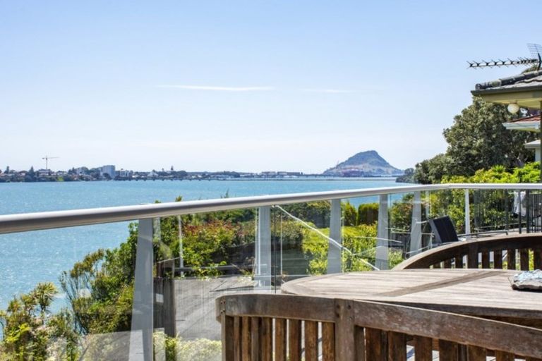 Photo of property in 430 Maungatapu Road, Maungatapu, Tauranga, 3112