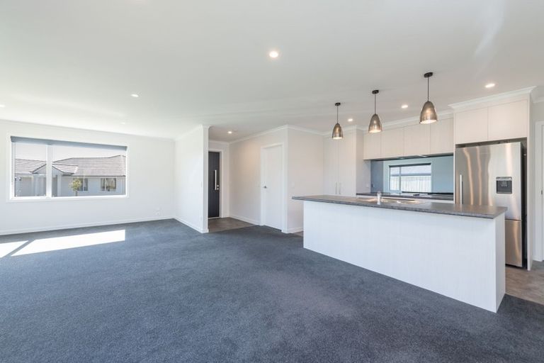 Photo of property in 16 Tarn Close, Richmond, 7020