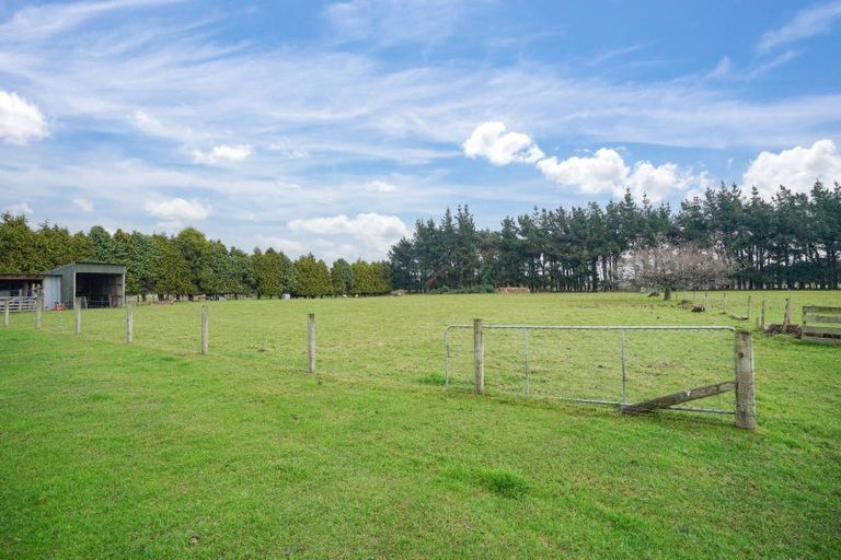Photo of property in 398 Drysdale Road, Myross Bush, Invercargill, 9872