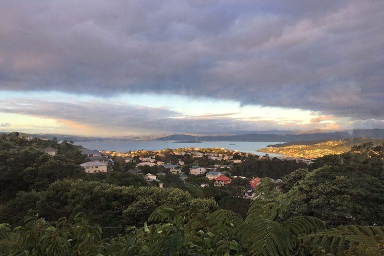 Photo of property in 44 Highbury Road, Highbury, Wellington, 6012