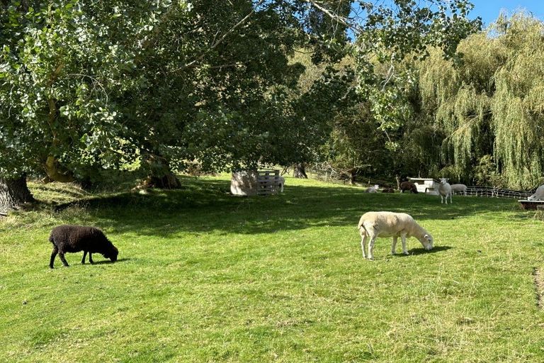 Photo of property in 26 Dickson Street, Macandrew Bay, Dunedin, 9014