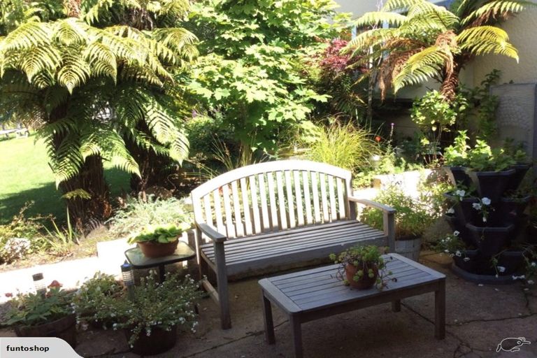 Photo of property in 79 Ann Street, Kaikorai, Dunedin, 9010