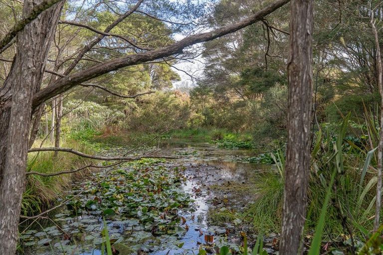 Photo of property in 425n Boat Harbour Road, Whenuakite, Whitianga, 3591
