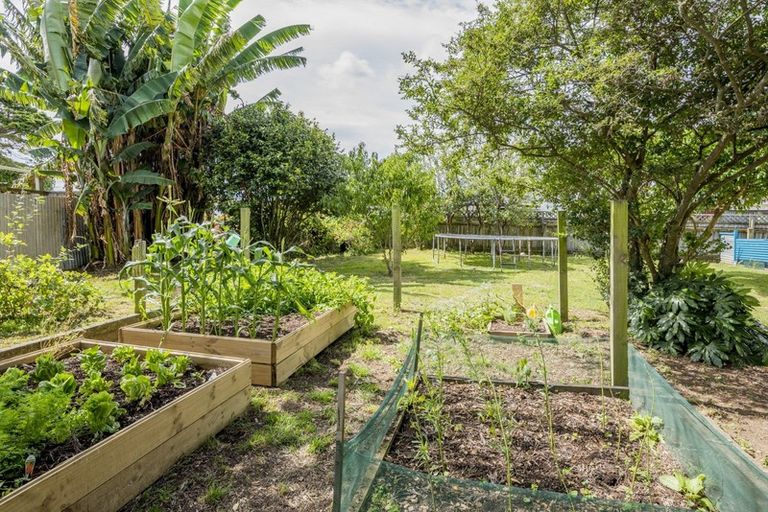 Photo of property in 21 Rutland Street, Levin, 5510