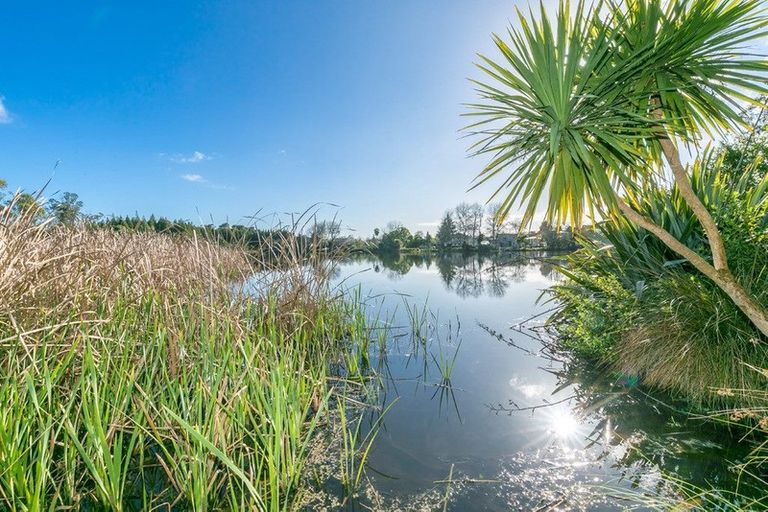 Photo of property in 28a Walsh Street, Forest Lake, Hamilton, 3200