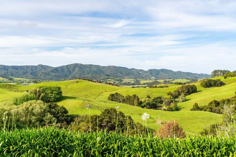 Photo of property in 404 Tara Road, Mangawhai, Kaiwaka, 0573