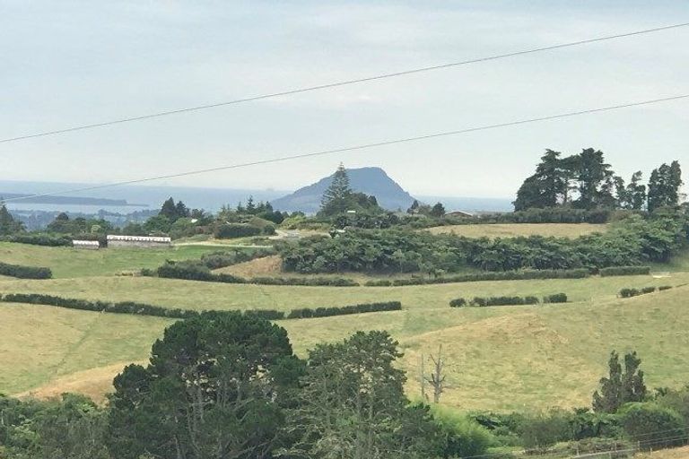 Photo of property in 857b Upper Ohauiti Road, Ohauiti, Tauranga, 3173