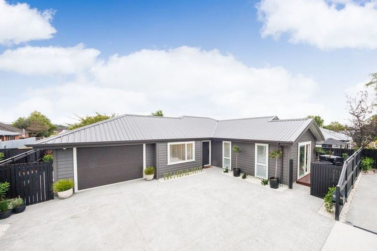 Photo of property in 15 Samuel Place, Terrace End, Palmerston North, 4410