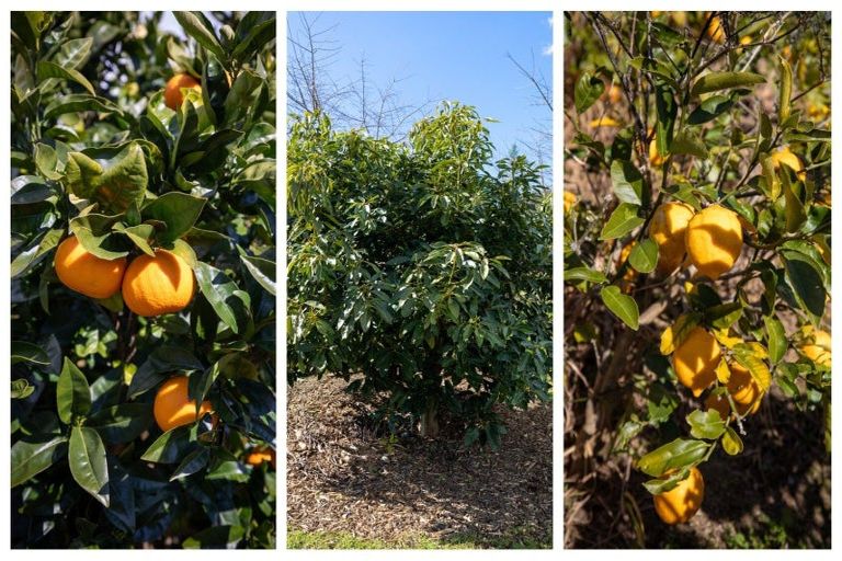 Photo of property in 49 Oceana Drive, Welcome Bay, Tauranga, 3175