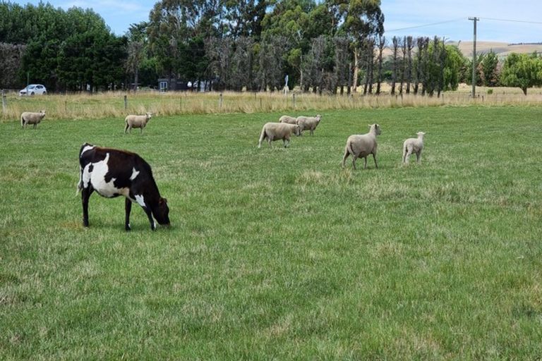 Photo of property in 6 Wellington Street, Hawarden, 7385