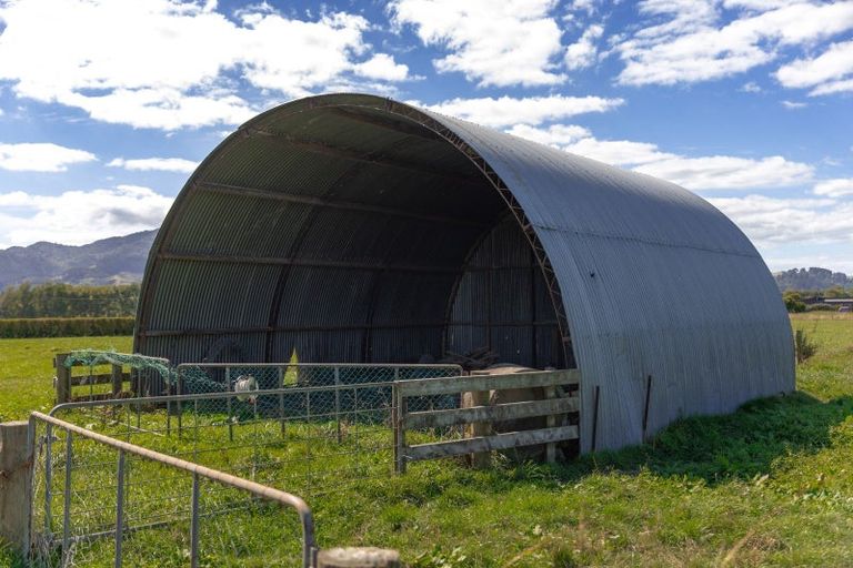 Photo of property in 165 Crean Road, Waihi, 3682