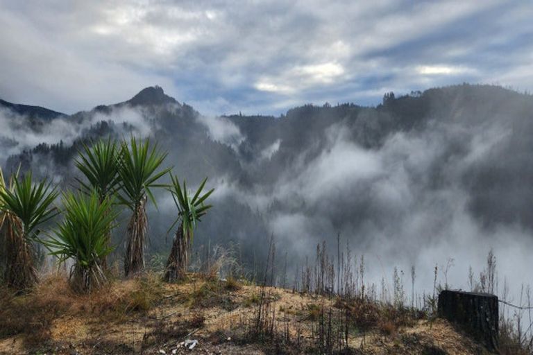 Photo of property in 990 Motueka River West Bank Road, Motueka Valley, Motueka, 7196