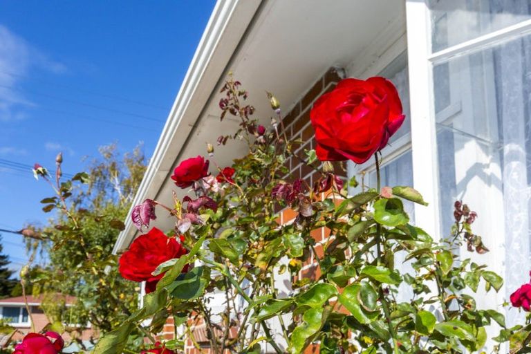 Photo of property in 1/15 Cecil Street, Clouston Park, Upper Hutt, 5018