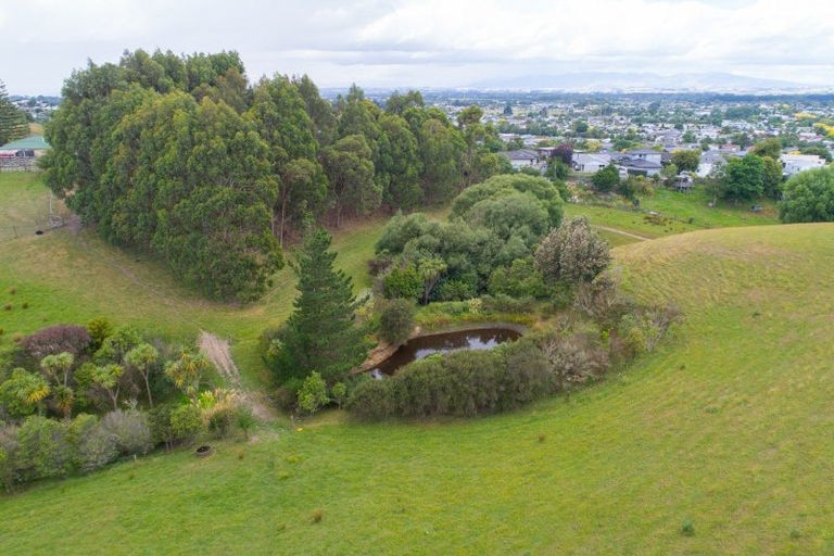 Photo of property in 22 Halcombe Road, Feilding, 4702