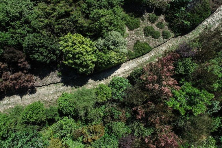 Photo of property in 114 Redvale Road, Redwood Valley, Richmond, 7081