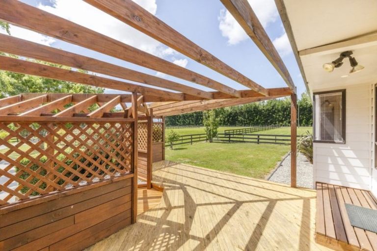 Photo of property in 191 Setters Line, Bunnythorpe, Palmerston North, 4478