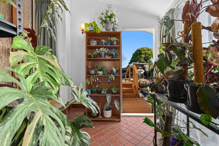 Photo of property in 53 Hampton Terrace, Parkvale, Tauranga, 3112