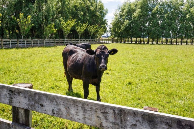 Photo of property in 61 Mount Stewart Halcombe Road, Sanson, Palmerston North, 4479