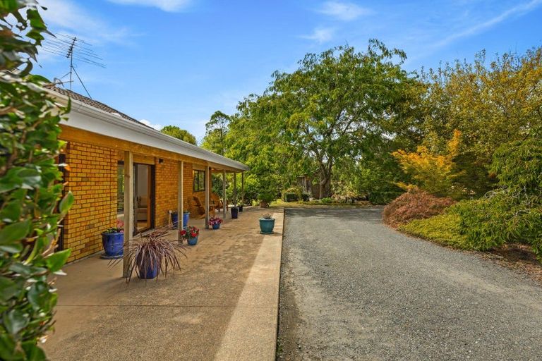 Photo of property in 60 Robinson Road, Coatesville, Albany, 0793