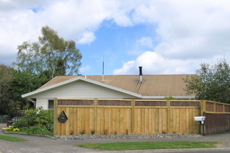 Photo of property in 78 Hinekura Avenue, Taupo, 3330