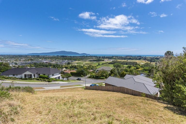 Photo of property in 161 Winara Avenue, Waikanae, 5036