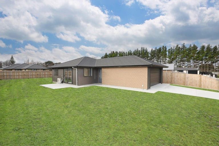 Photo of property in 49 Hereford Street, Marton, 4710