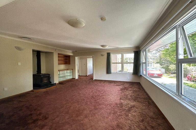 Photo of property in 3 Oldham Lane, The Wood, Nelson, 7010