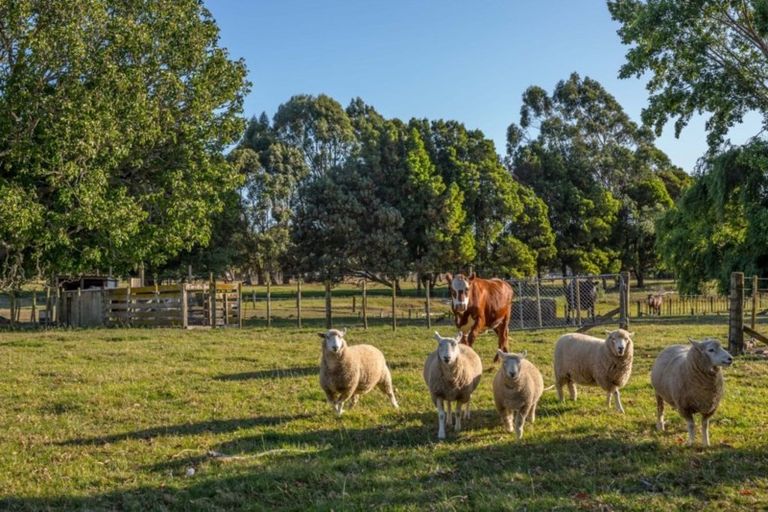 Photo of property in 182 Pukemiku Road, Mangamutu, Pahiatua, 4983