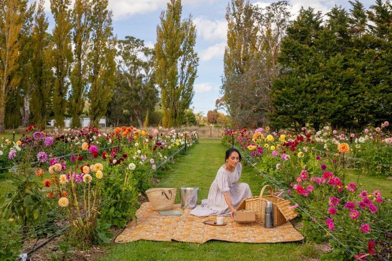 Photo of property in 58 Moroa Road, Tauwharenikau, Featherston, 5771