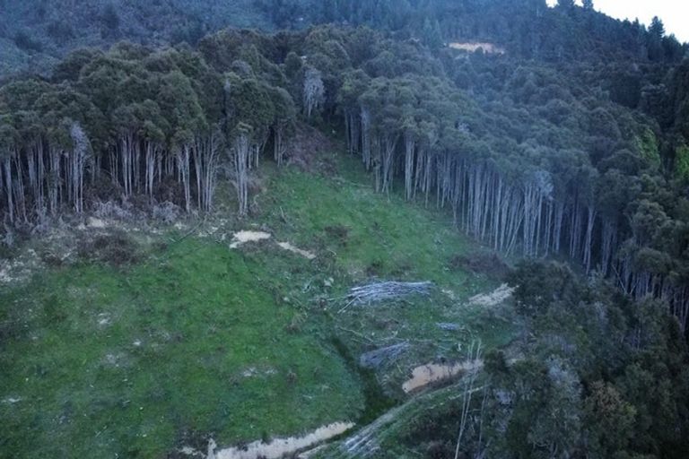 Photo of property in 268 Sherry River Road, Tapawera, Wakefield, 7096