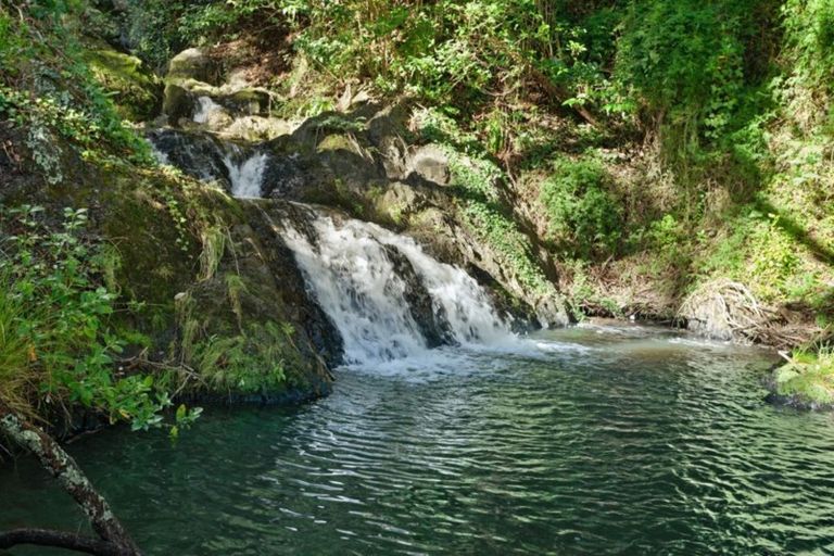 Photo of property in 24 Toroa Street, Whakatane, 3120