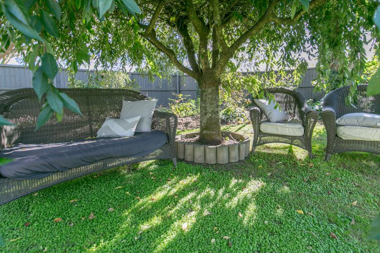 Photo of property in 5 Jackson Street, Darfield, 7510