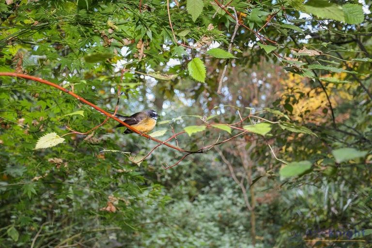 Photo of property in 46 Balrudry Street, Avonhead, Christchurch, 8042