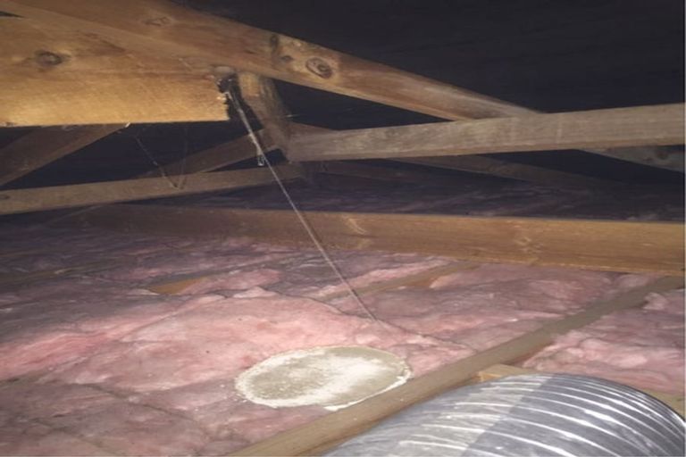 Photo of property in 47 Chartwell Drive, Crofton Downs, Wellington, 6035