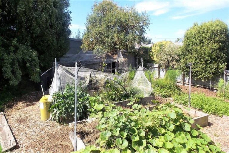 Photo of property in 24 Birkett Street, Temuka, 7920