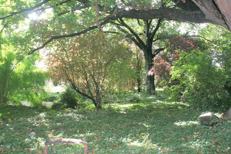 Photo of property in 155 Gladstone Road South, East Taieri, Mosgiel, 9024