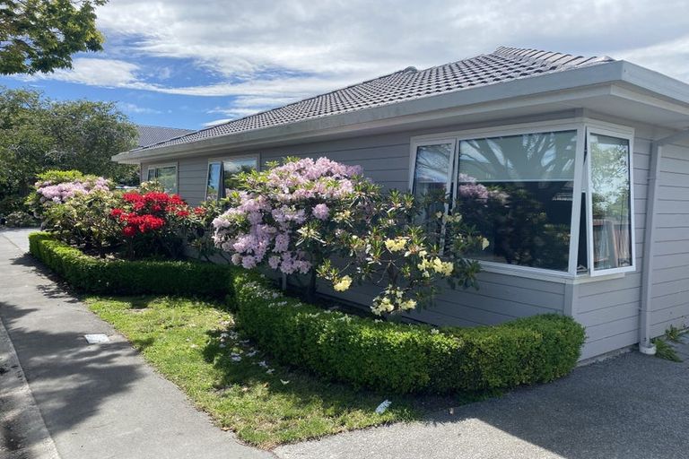 Photo of property in 22 Sefton Street, Belfast, Christchurch, 8051