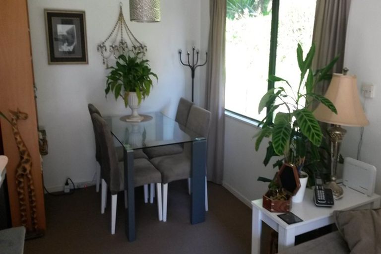 Photo of property in 13 Neil Place, Gate Pa, Tauranga, 3112