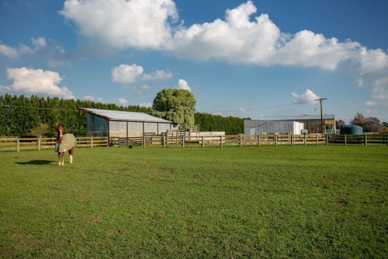 Photo of property in 298 Bellevue Road, Matangi, Cambridge, 3493