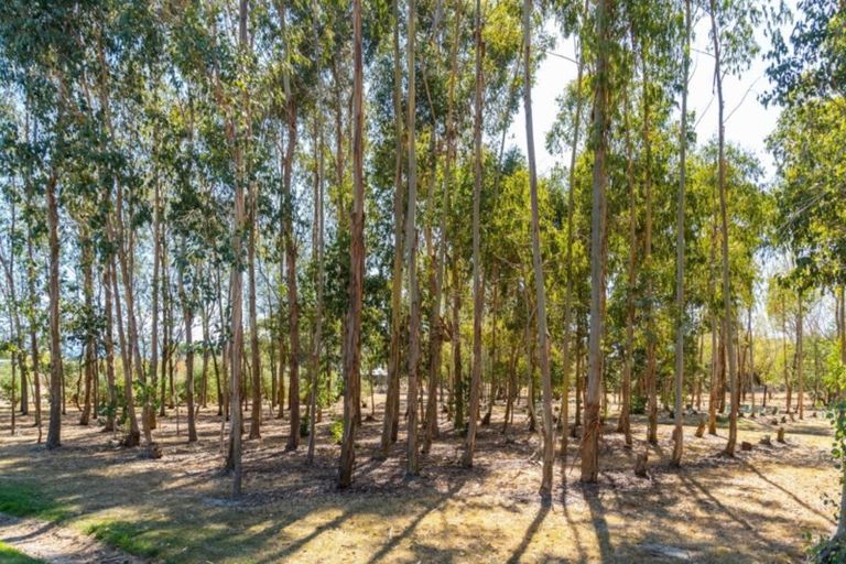 Photo of property in 672e Te Whiti Road, Te Whiti, Masterton, 5884