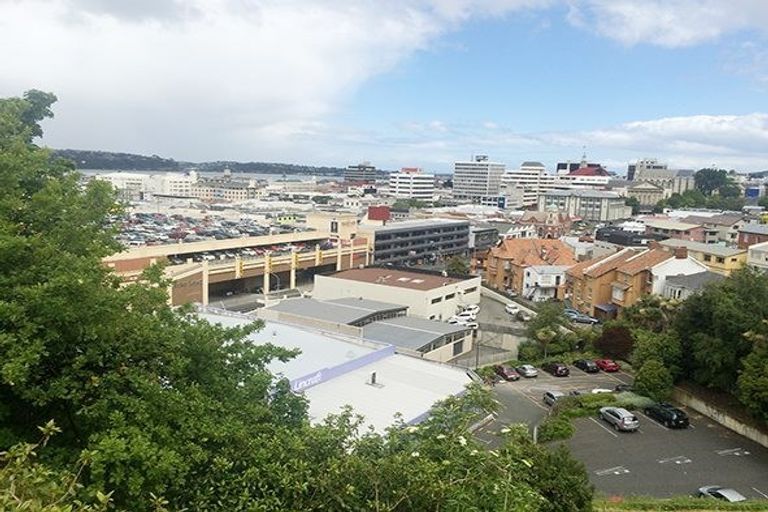 Photo of property in 3 Heriot Row, Dunedin Central, Dunedin, 9016