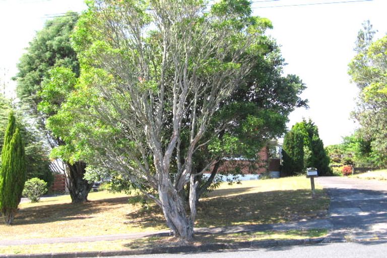 Photo of property in 5 Gilliam Street, New Lynn, Auckland, 0600