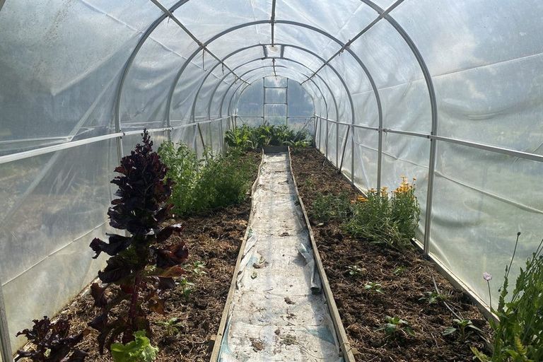 Photo of property in 24 Thousand Acre Road, Alma, Oamaru, 9492