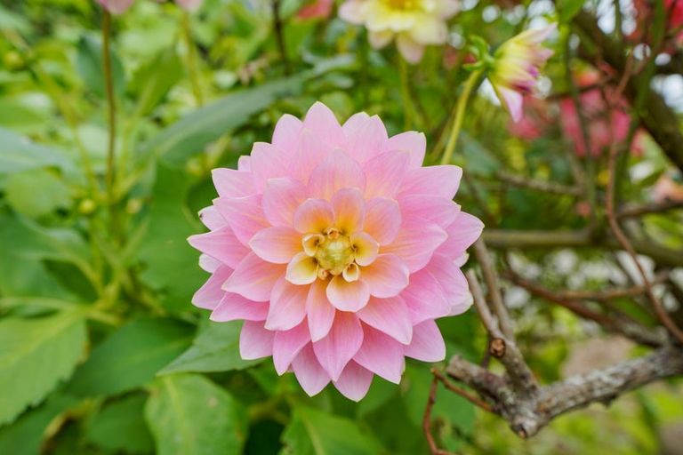 Photo of property in 15 Hughies Lane, Otautau, 9610